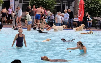 Hondenzwemmen bij In de Dennen mateloos populair